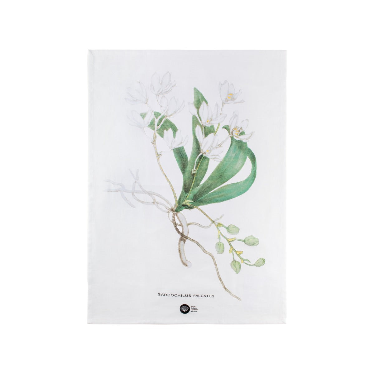 Maxwell & Williams Royal Botanic Gardens Australian Orchids Tea Towel White