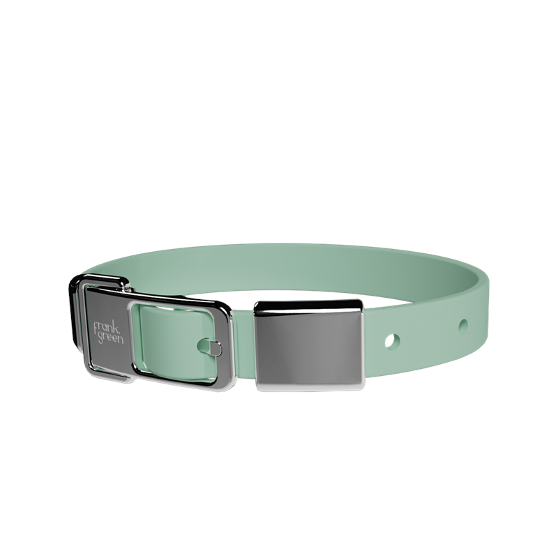 Frank Green Pet Collar + Name Tag Medium - Collar: Mint Gelato