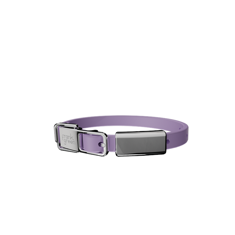 Frank Green Pet Collar + Name Tag Small - Collar: Lilac Haze
