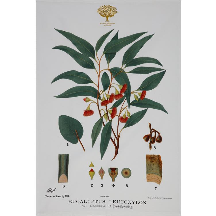 Maxwell & Williams Royal Botanic Garden Tea Towel - Flowering Gum