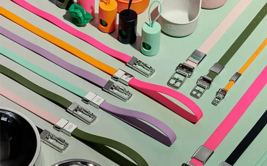 New Frank Green Pet Range: The Latest Gifts for Pet Parents | Matchbox