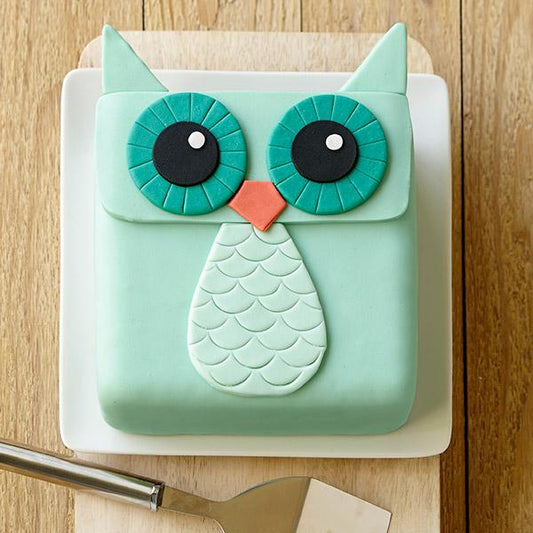 Whoo's Your Favourite Owl Cake
