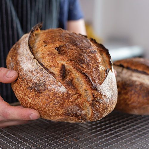 Sourdough For Beginners