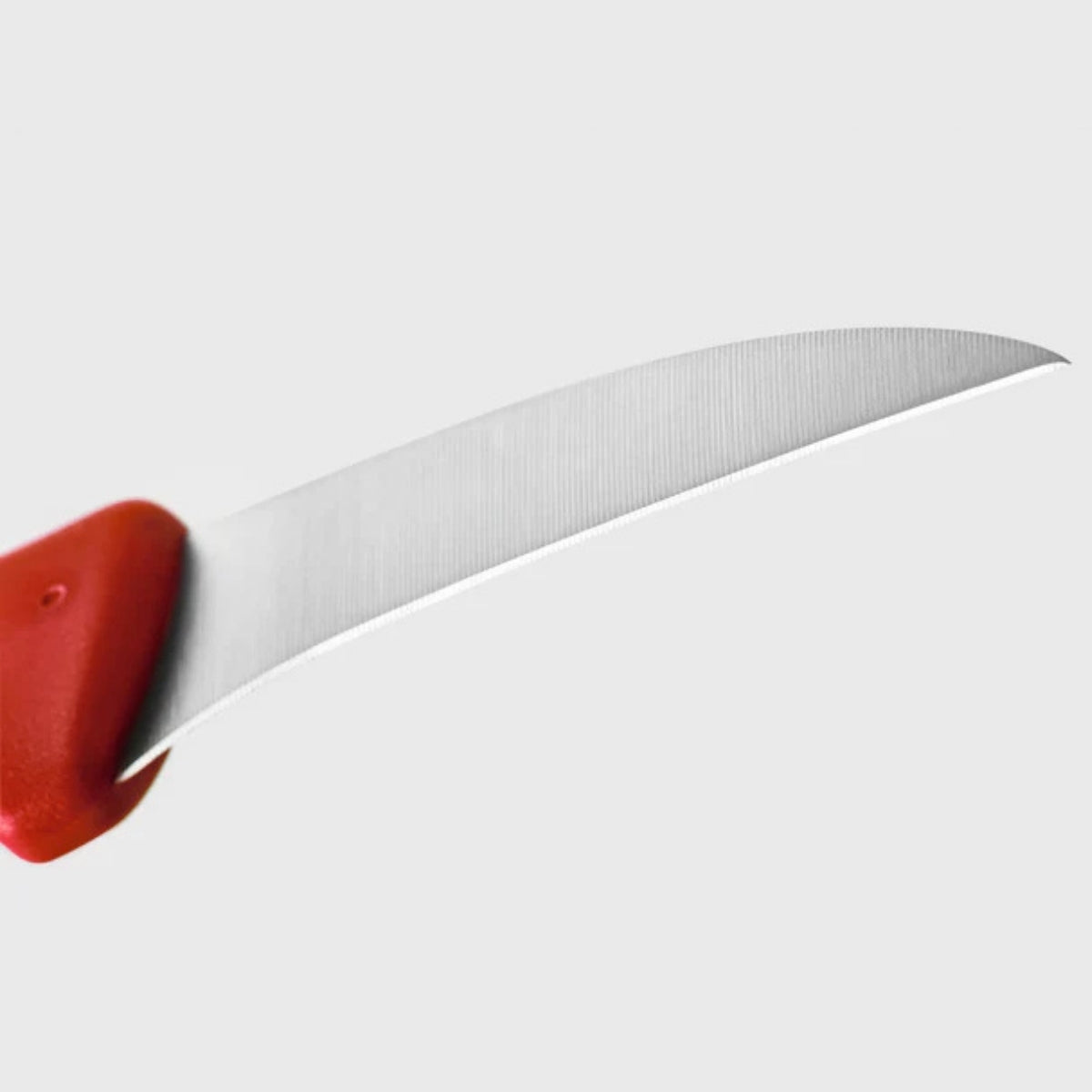 Wusthof Create Peeling Knife 6cm - Red