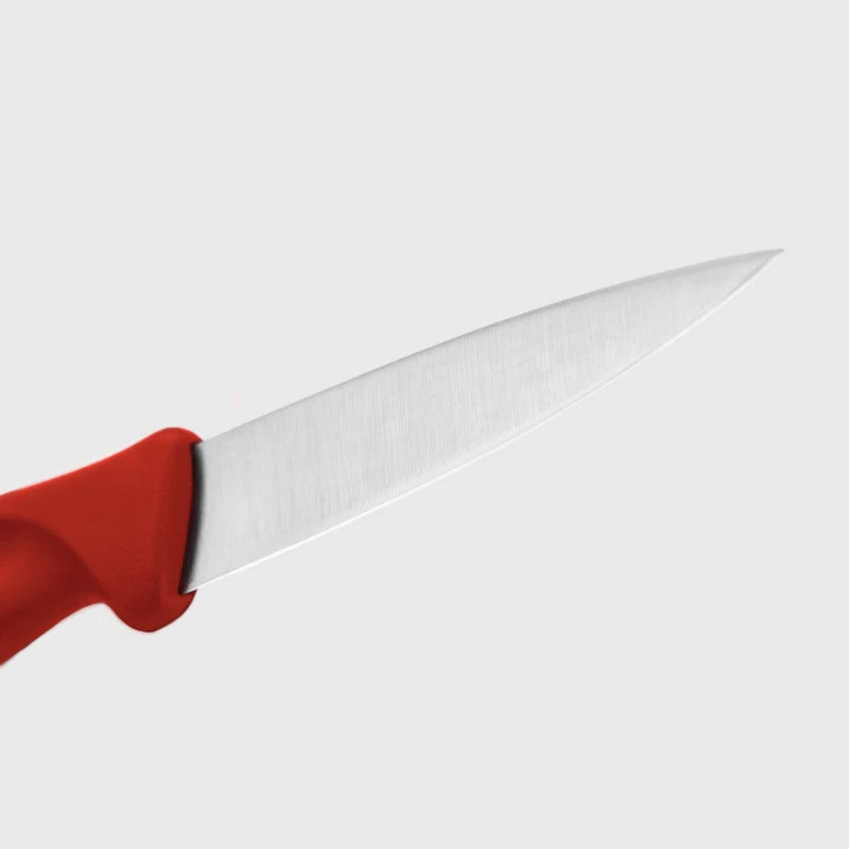 Wusthof Create Paring Knife 8cm - Red