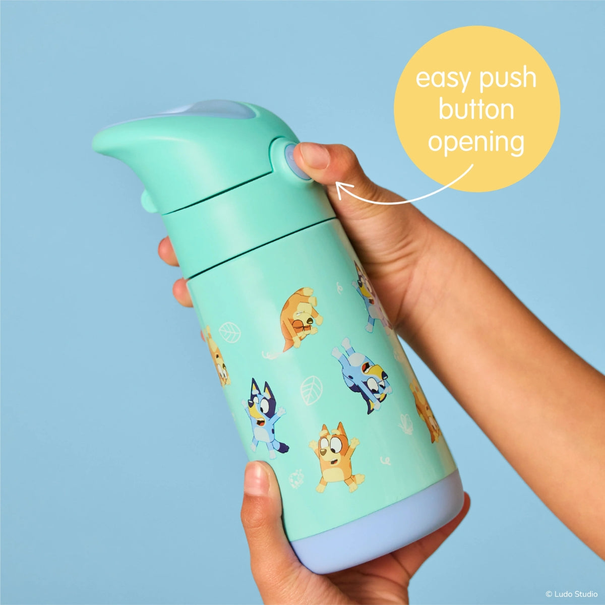 350mL Insulated Drink Bottle – Bluey Playtime