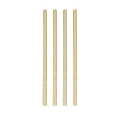 Sugar Cane Straws 14Cm-Set 50