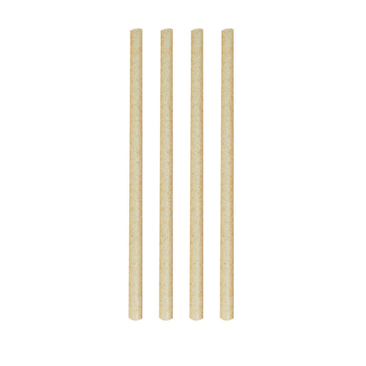 Sugar Cane Straws 14Cm-Set 50