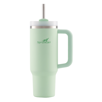 Sunny Insulated Tumbler with Straw Lid 1L Colour soft mint