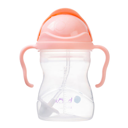 Sippy Cup V2 Tutti Frutti