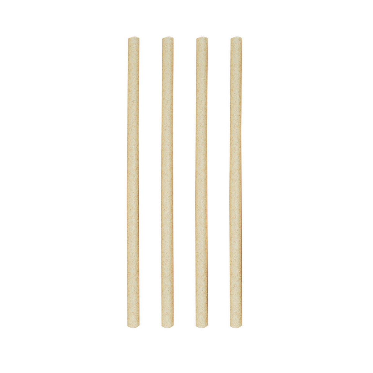 Avanti Smoothie S/Cane Straws 23Cm-Set24