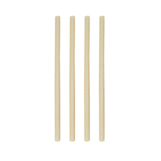 Avanti Smoothie S/Cane Straws 23Cm-Set24