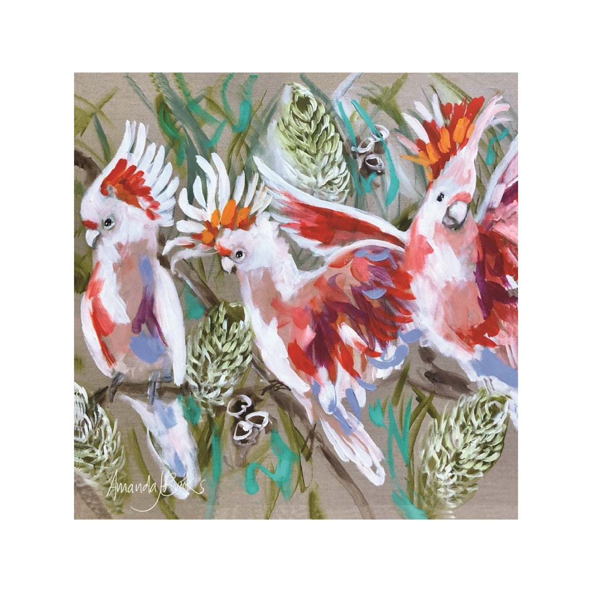 Lilli Rock Amanda Brooks Major Mitchell Banksia Coaster 11x11cm Coaster