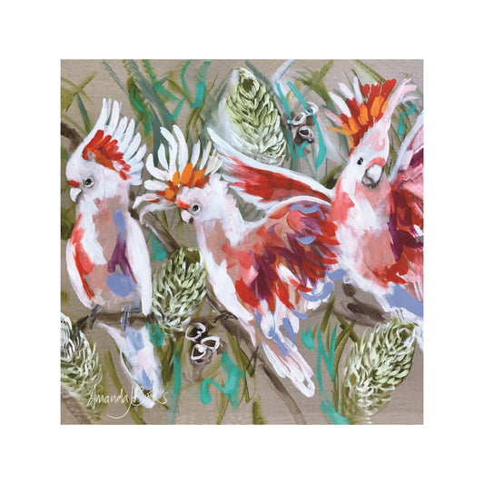 Lilli Rock Amanda Brooks Major Mitchell Banksia Coaster 11x11cm Coaster