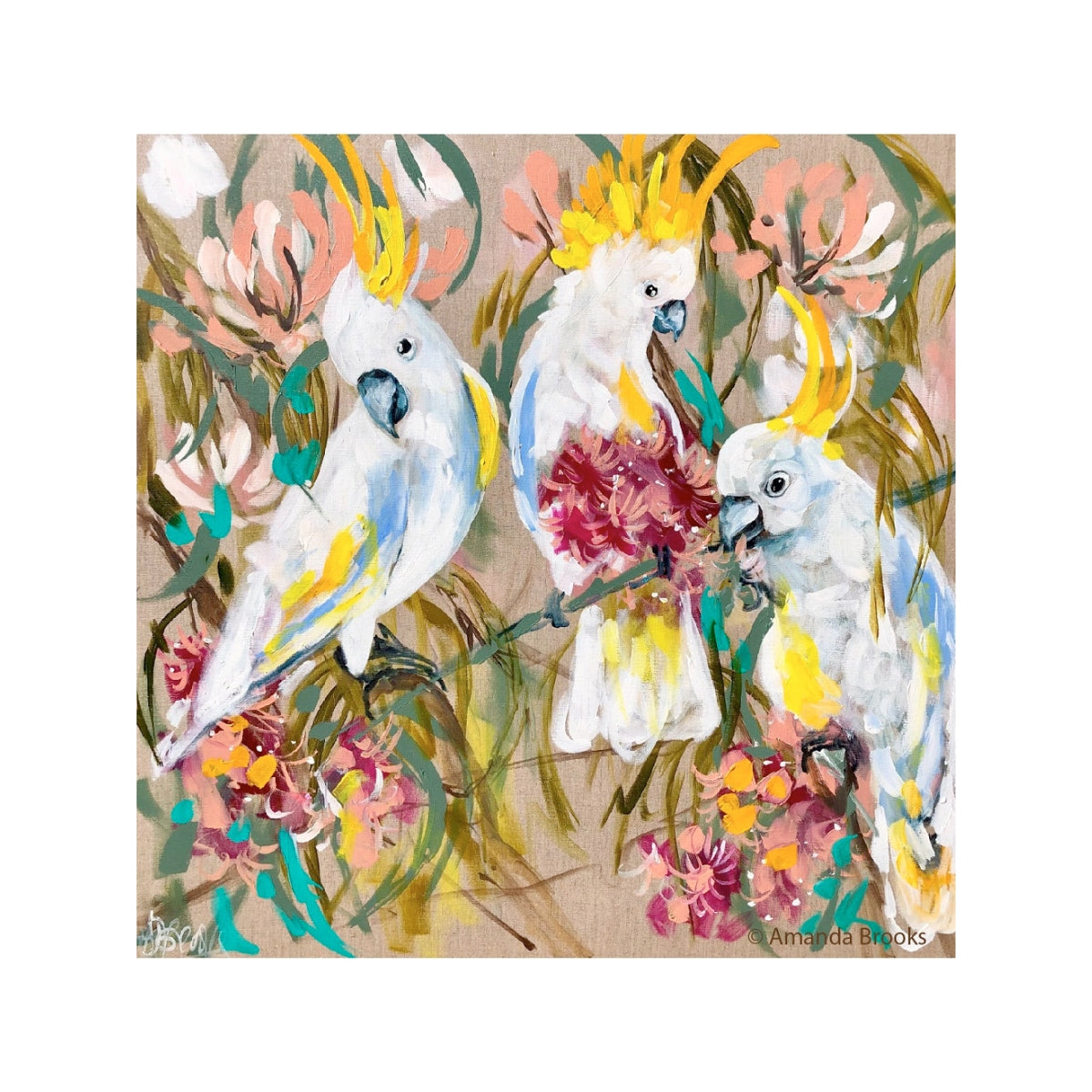 Lilli Rock Amanda Brooks Cockatoos and Gum Coaster Set 11x11cm Set of 4 Coasters