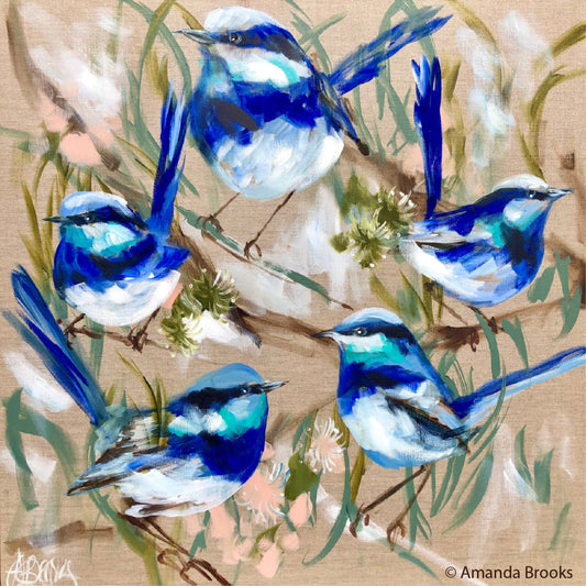 Blue Wrens & Gum Set 11x11cm Set of 4 Coasters