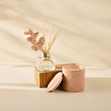 Love Anna by Maxwell & Williams Cherry Blossom Candle and Reed Diffuser