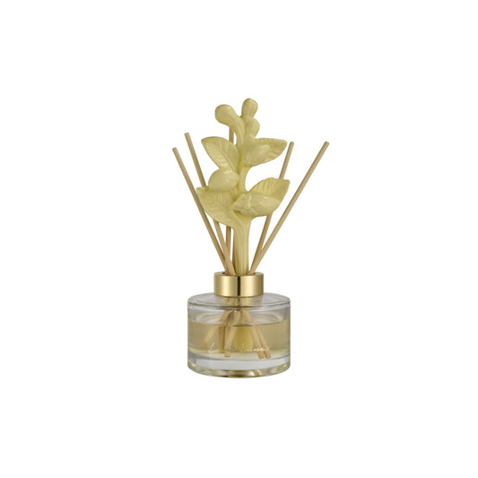 Botanika Diffuser 150ml Citrus Limon Gift Boxed