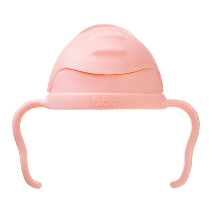 Sippy Cup V2 Tutti Frutti