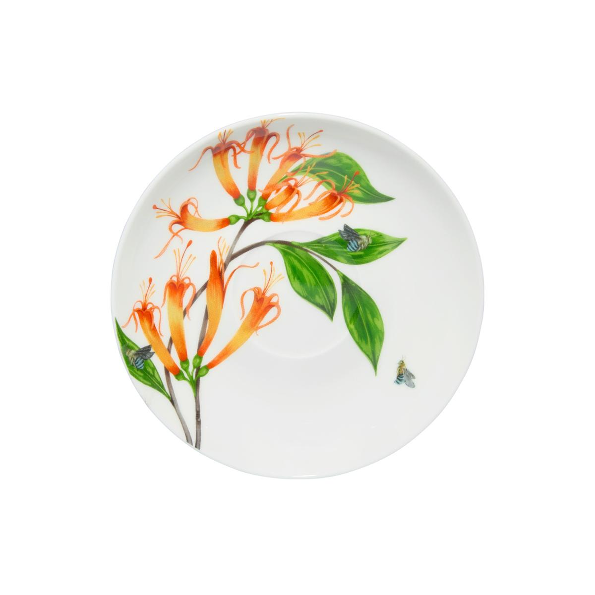 Eloise Short Lyric Cup & Saucer 240ML Regent Honeyeater Gift Boxed