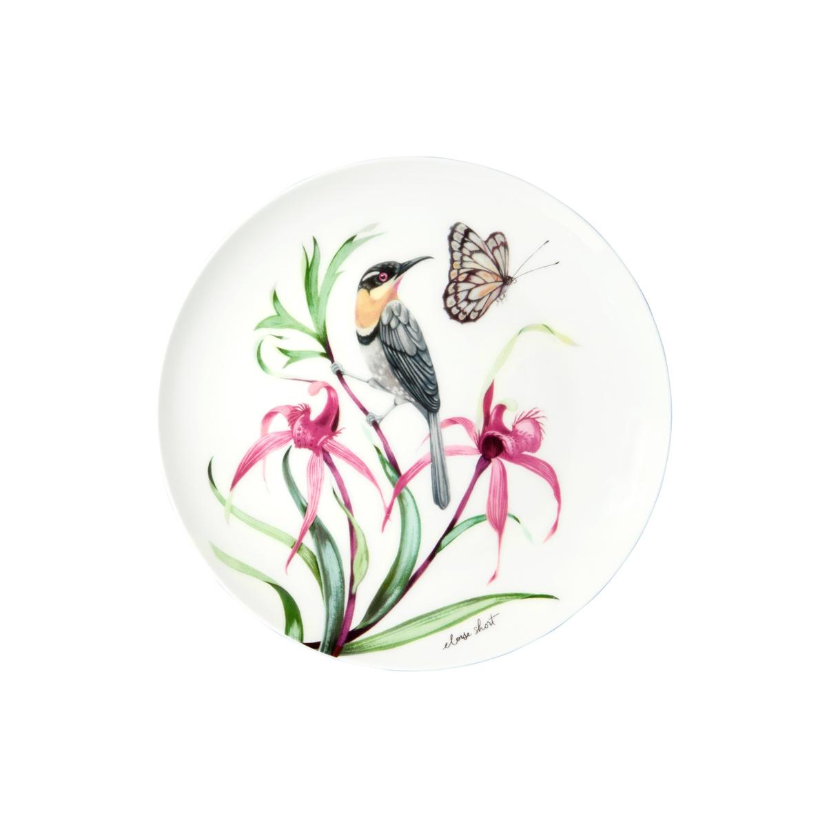 Eloise Short Lyric Coupe Plate 20cm Spinebill Honeyeater Gift Boxed