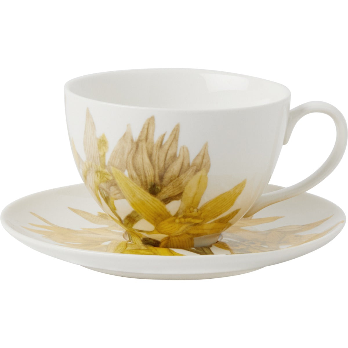 Maxwell & Williams Royal Botanic Gardens Australian Orchids Cup & Saucer Yellow
