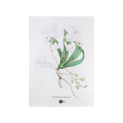 Maxwell & Williams Royal Botanic Gardens Australian Orchids Tea Towel White