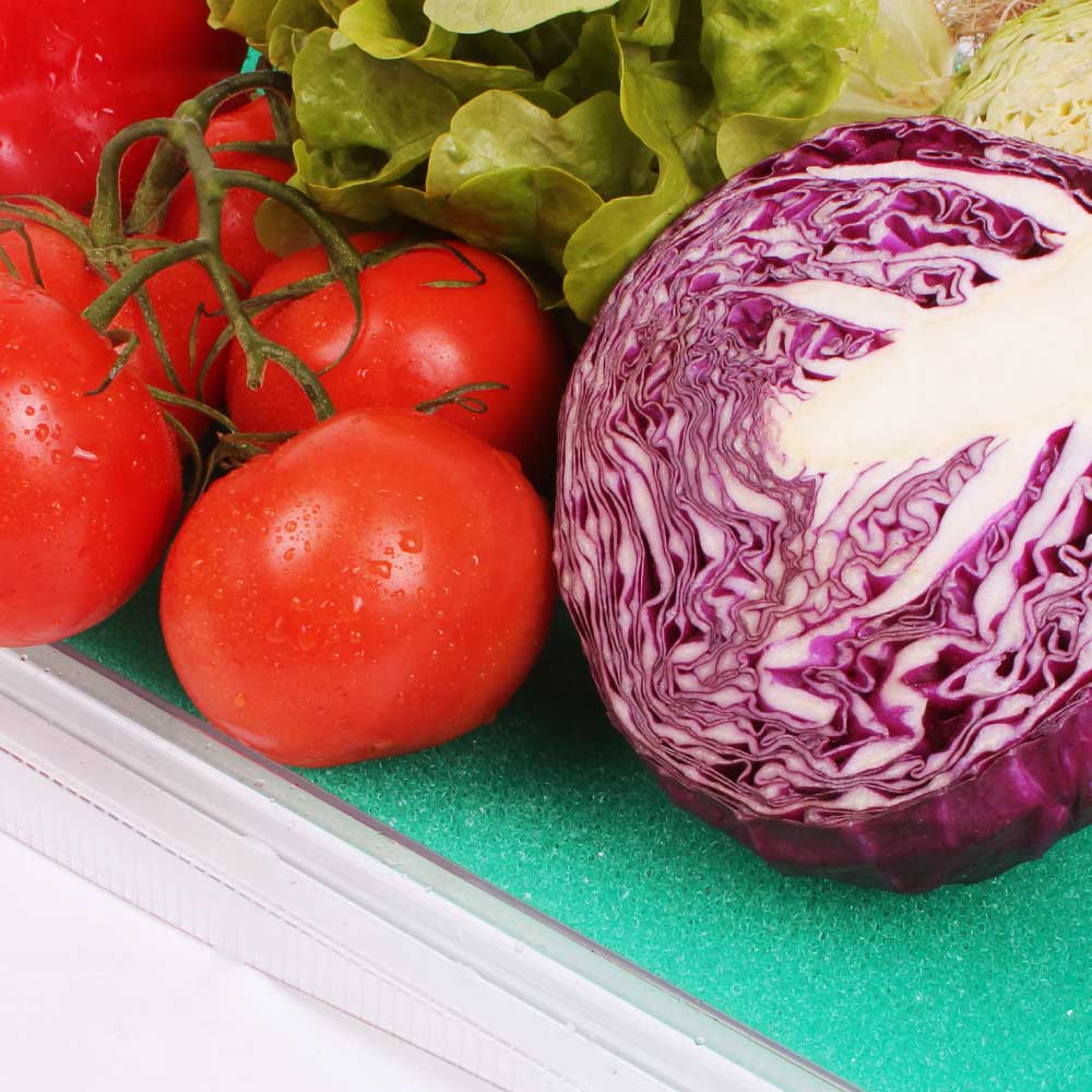 Stay Fresh Fridge Mat Antibacterial