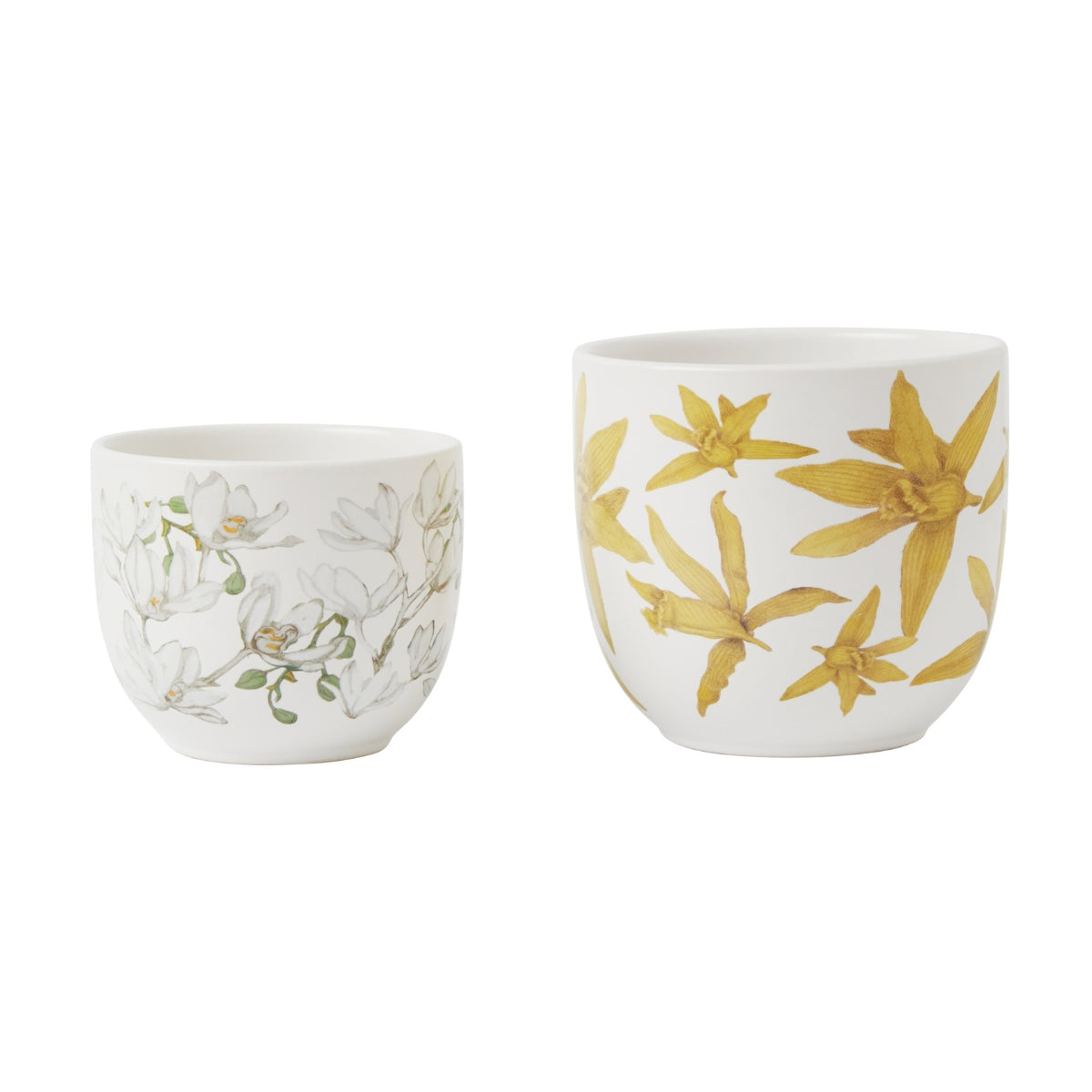 Maxwell & Williams Royal Botanic Gardens Australian Orchids Planter Set Yellow and White