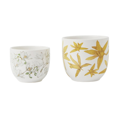 Maxwell & Williams Royal Botanic Gardens Australian Orchids Planter Set Yellow and White