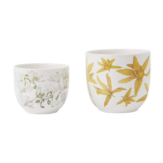 Maxwell & Williams Royal Botanic Gardens Australian Orchids Planter Set Yellow and White