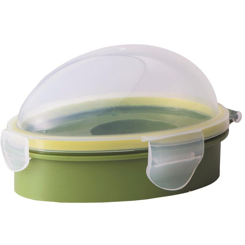 Avocado Pod| Avanti | Matchbox