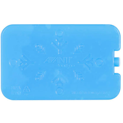 Avanti Gel Ice Brick Set of 2
