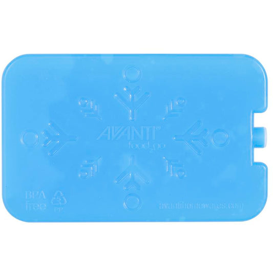 Avanti Gel Ice Brick Set of 2