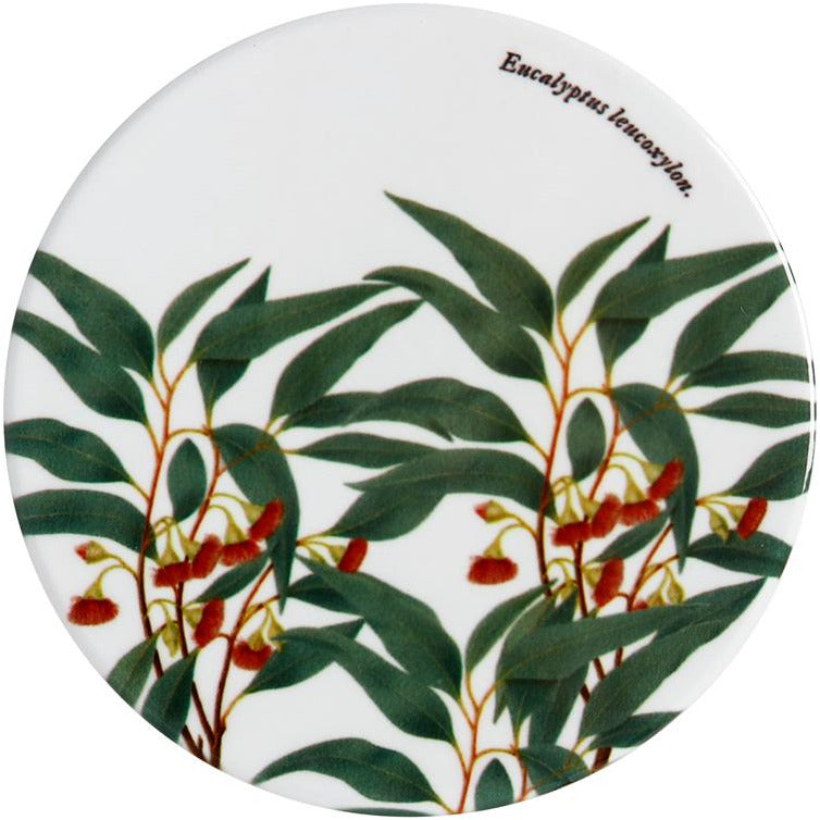 Maxwell & Williams Royal Botanic Gardens Victoria Coaster - Flowering Gum