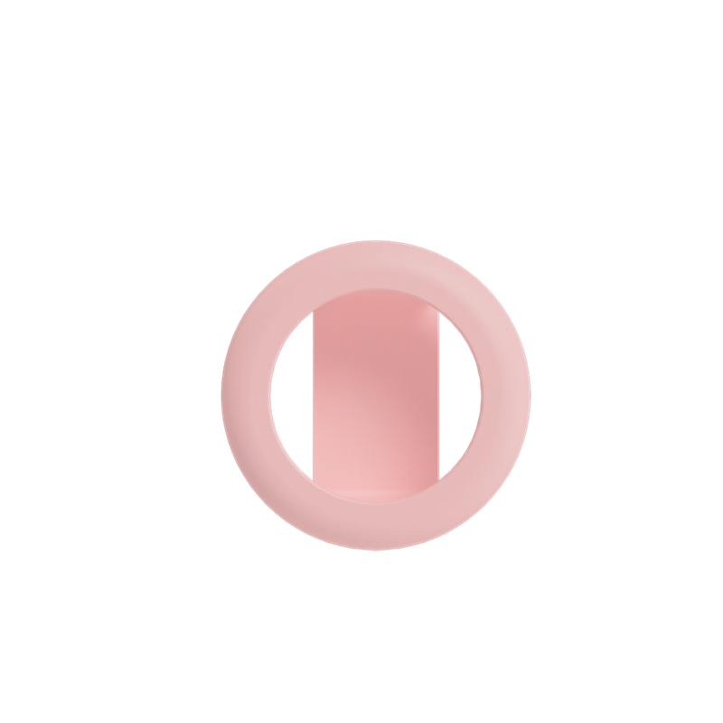 Frank Green Pet AirTag Holder Large - Blushed