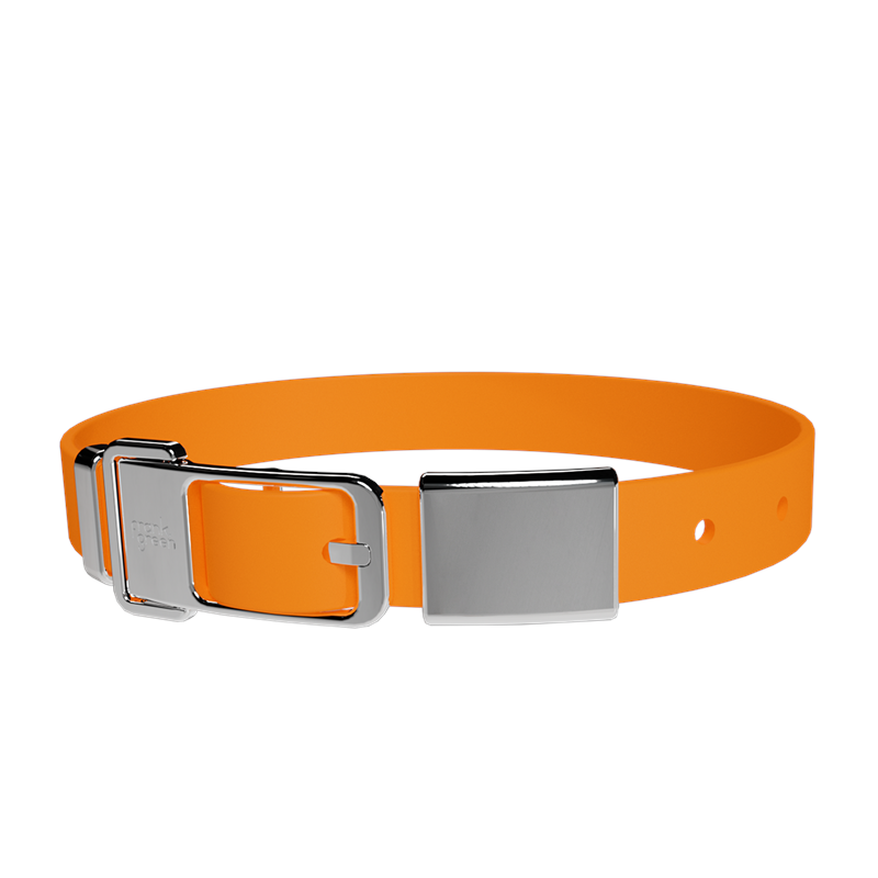 Frank Green Pet Collar + Name Tag Large - Collar: Neon Orange