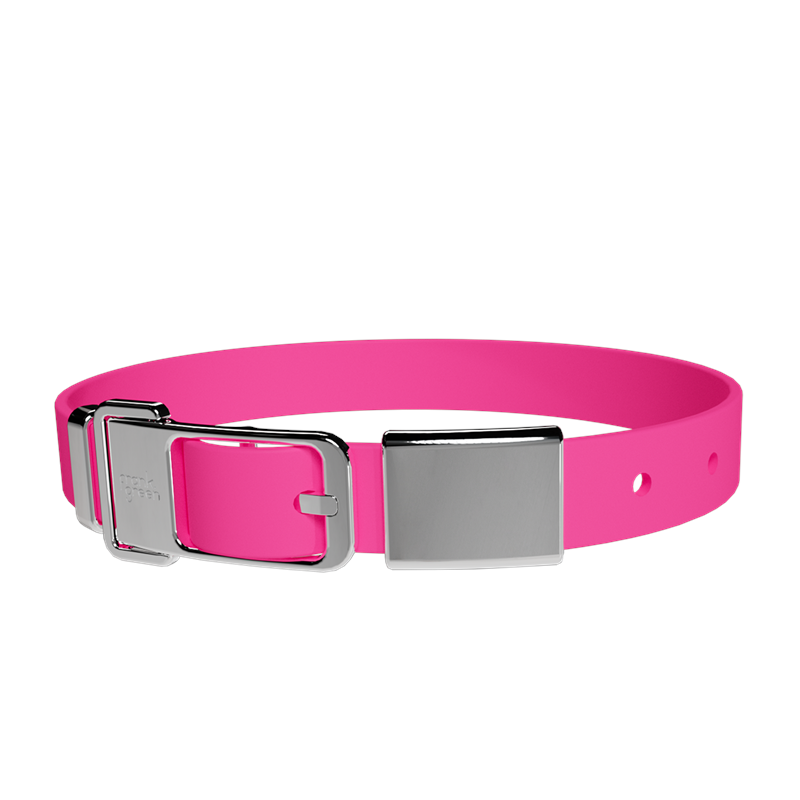 Frank Green Pet Collar + Name Tag Large - Collar: Neon Pink