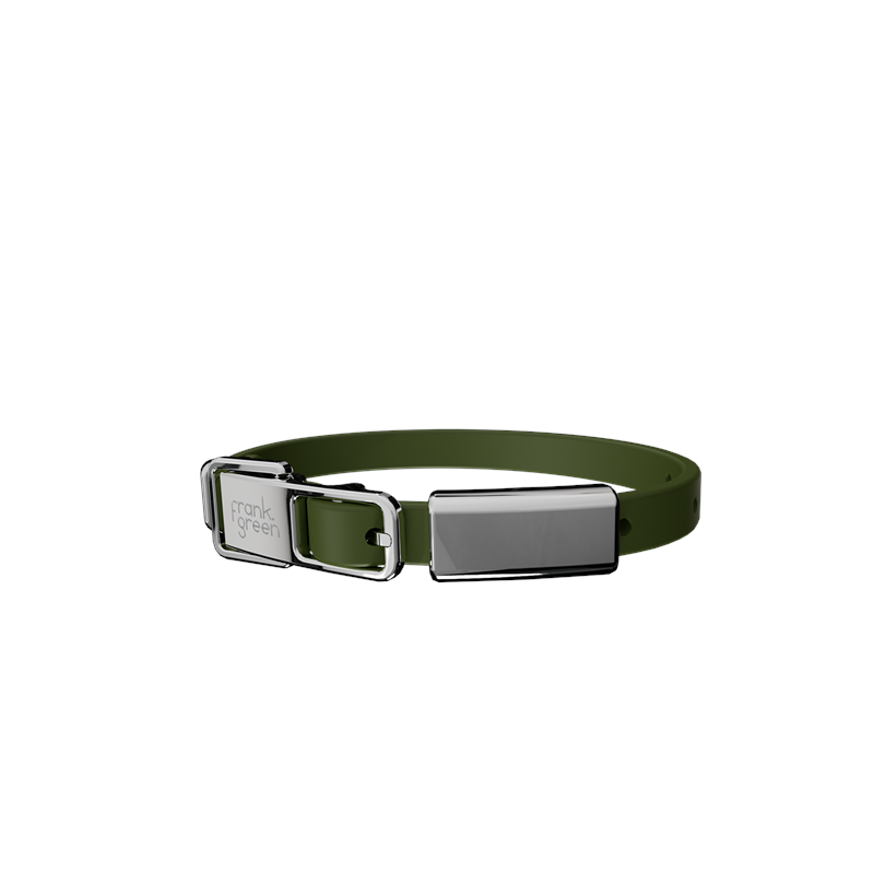 Frank Green Pet Collar + Name Tag Small - Collar: Khaki