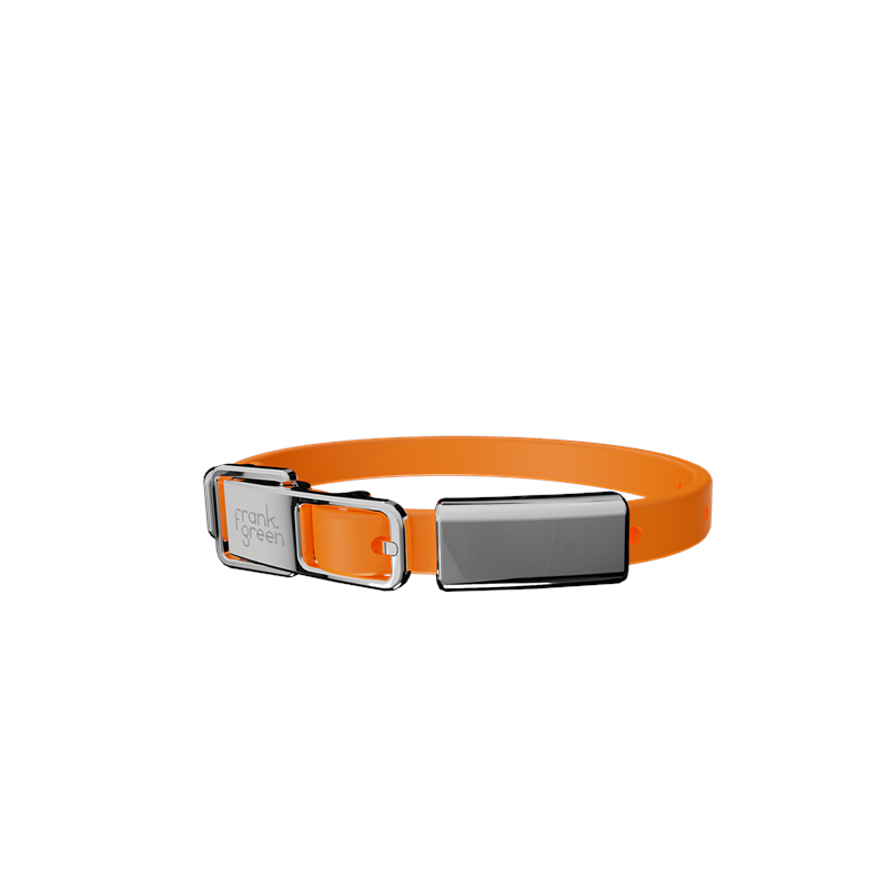 Frank Green Pet Collar + Name Tag Small - Collar: Neon Orange