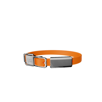 Frank Green Pet Collar + Name Tag Small - Collar: Neon Orange