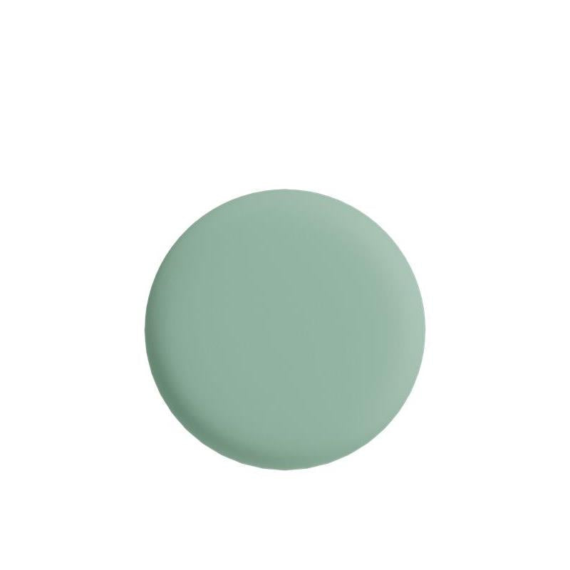 Frank Green Pet Safety Light Large - Mint Gelato