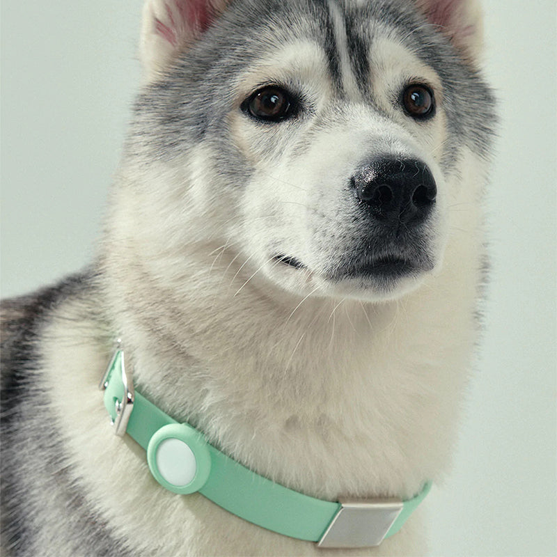 Frank Green Pet AirTag Holder Large - Mint Gelato