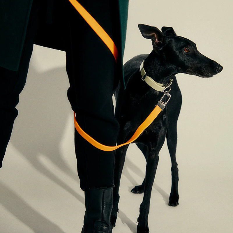 Frank Green Pet Lead - Neon Orange (Base + Handle)