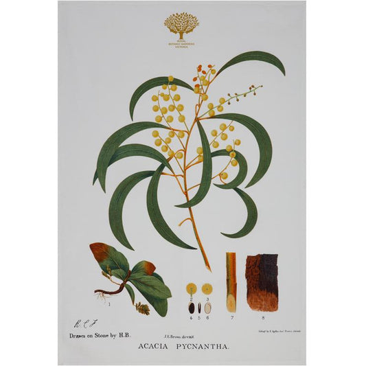 Maxwell & Williams Royal Botanic Garden Tea Towel - Wattle
